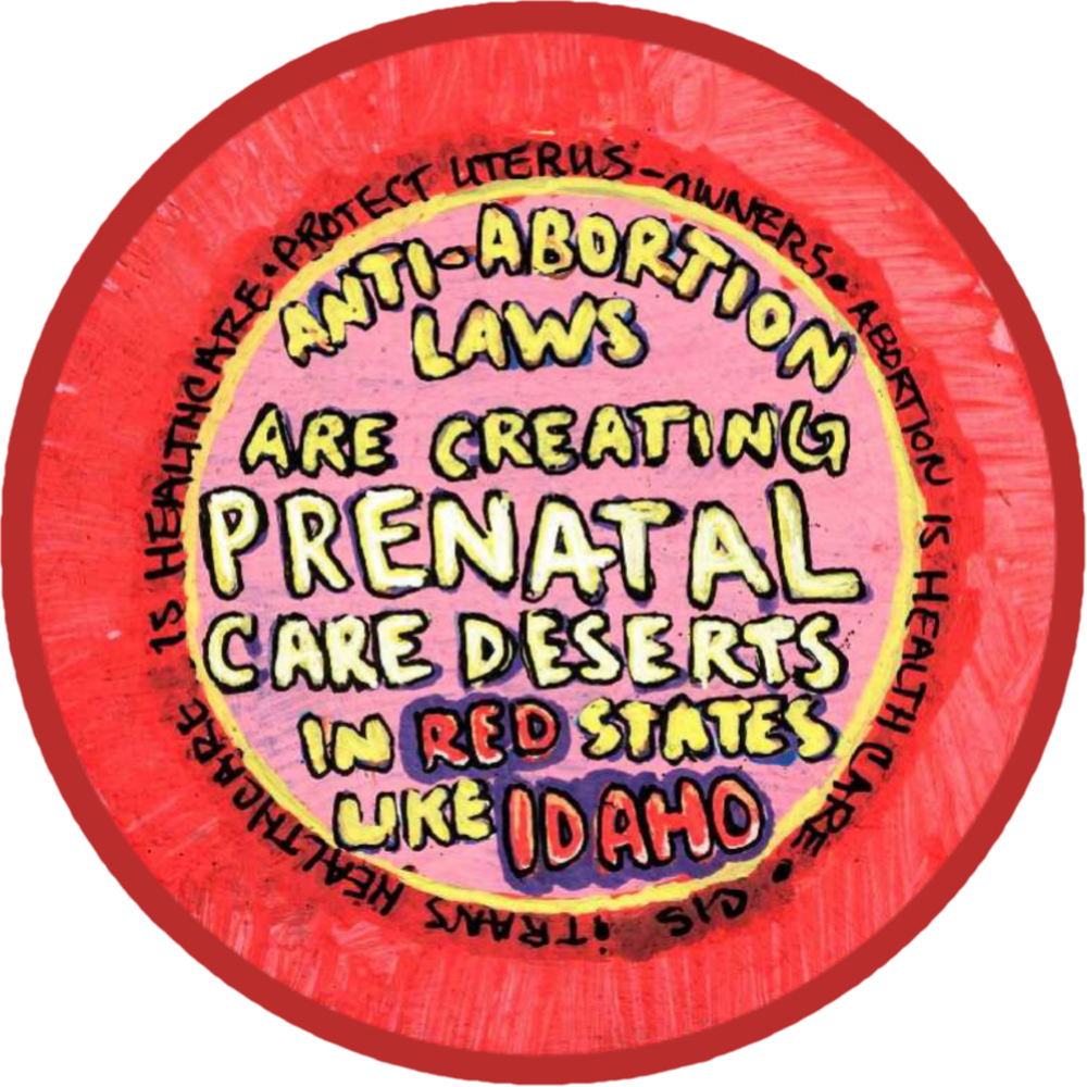 Anti-abortion Laws are Creating Prenatal Care Deserts in Red States Like Idaho